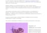 write llm optimized SEO GEO aeo finance articles and blogs